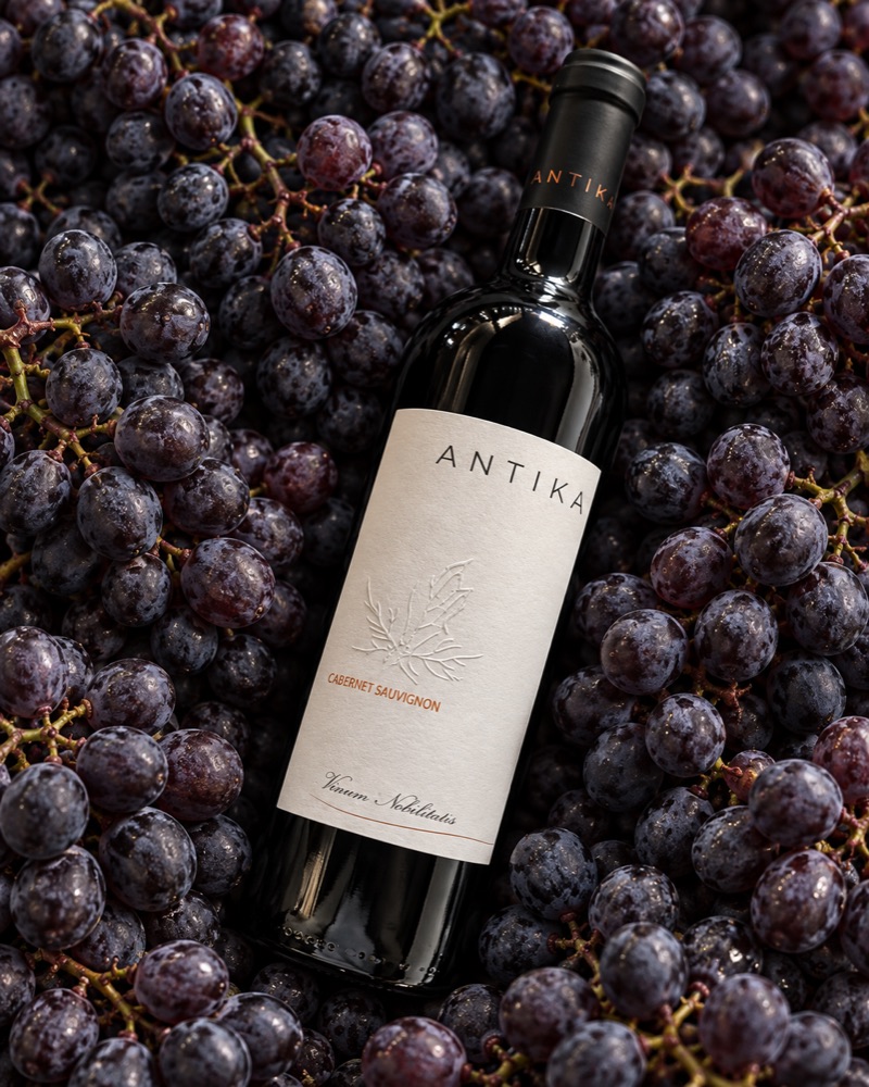 Antika Cabernet Sauvignon in Grapes